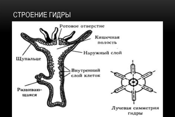 Каталог онион сайтов