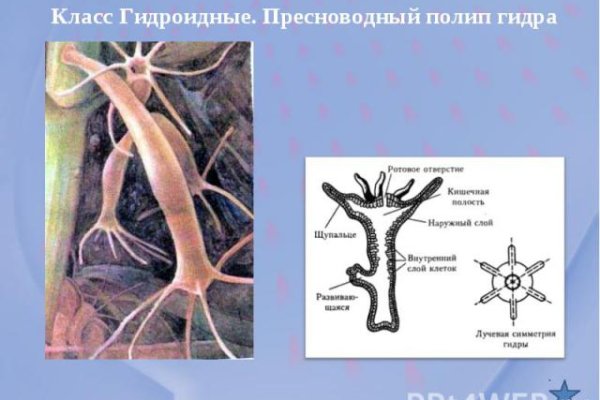 Что такое кракен маркетплейс в россии